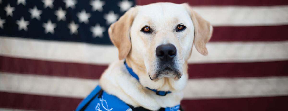 Salute Independence 2024